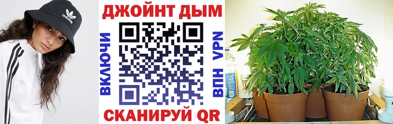 мега ТОР  магазин  наркотиков  Тетюши  Канабис планчик 